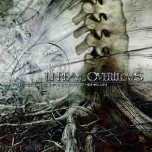Unreal Overflows - Architecture of Incomprehension CD (album) cover