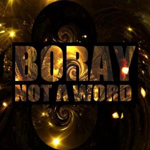 Boray - Not a Word CD (album) cover