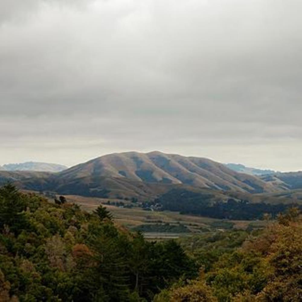 Dirty Projectors Dirty Projectors and Bjrk: Mount Wittenberg Orca album cover