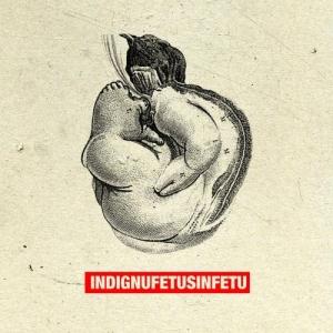 Indignu Fetus in Fetu album cover