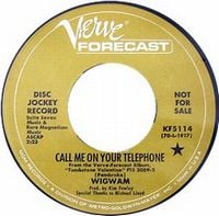  Wishful Thinker / Call Me On Your Telephone by WIGWAM album cover