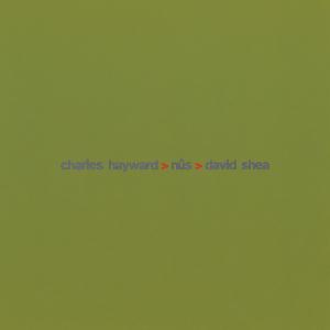 Charles Hayward Sub Rosa Sessions (Charles Hayward/Ns/David Shea) album cover