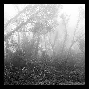 Eidetic Seeing - Against Nature CD (album) cover