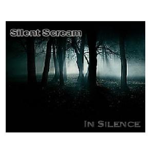 Silent Scream In Silence album cover
