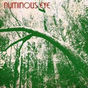 Numinous Eye Live / Studio album cover