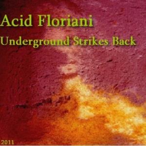 Acid Floriani Underground Strikes Back album cover