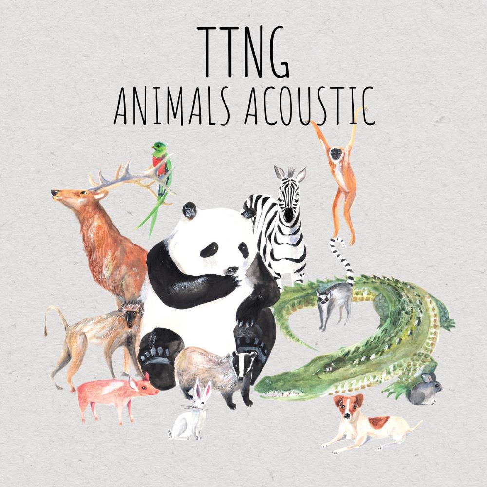 This Town Needs Guns - Animals Acoustic CD (album) cover