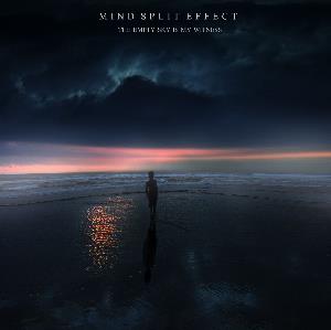 Mind Split Effect - The empty sky is my witness CD (album) cover