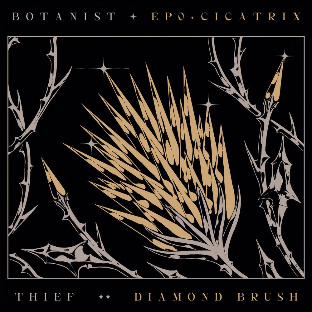 Botanist EP0: Cicatrix / Diamond Brush (split with Thief) album cover