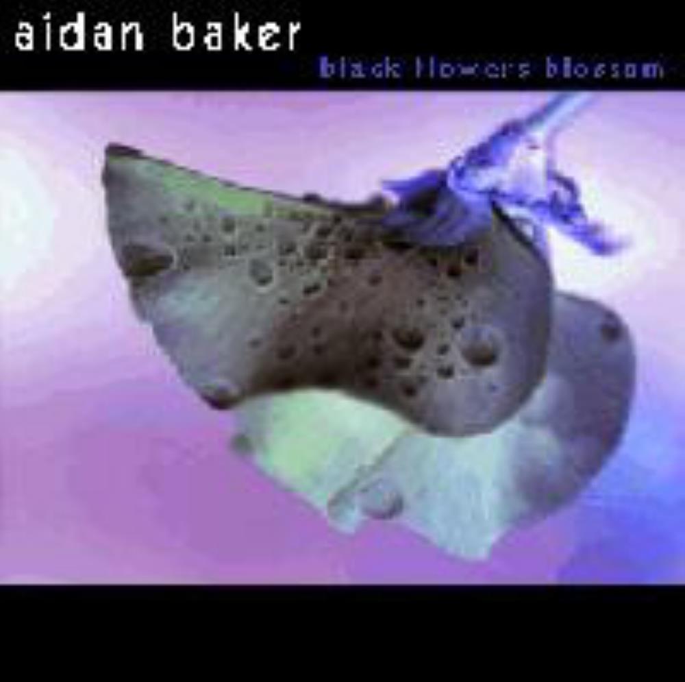 Aidan Baker Black Flowers Blossom album cover