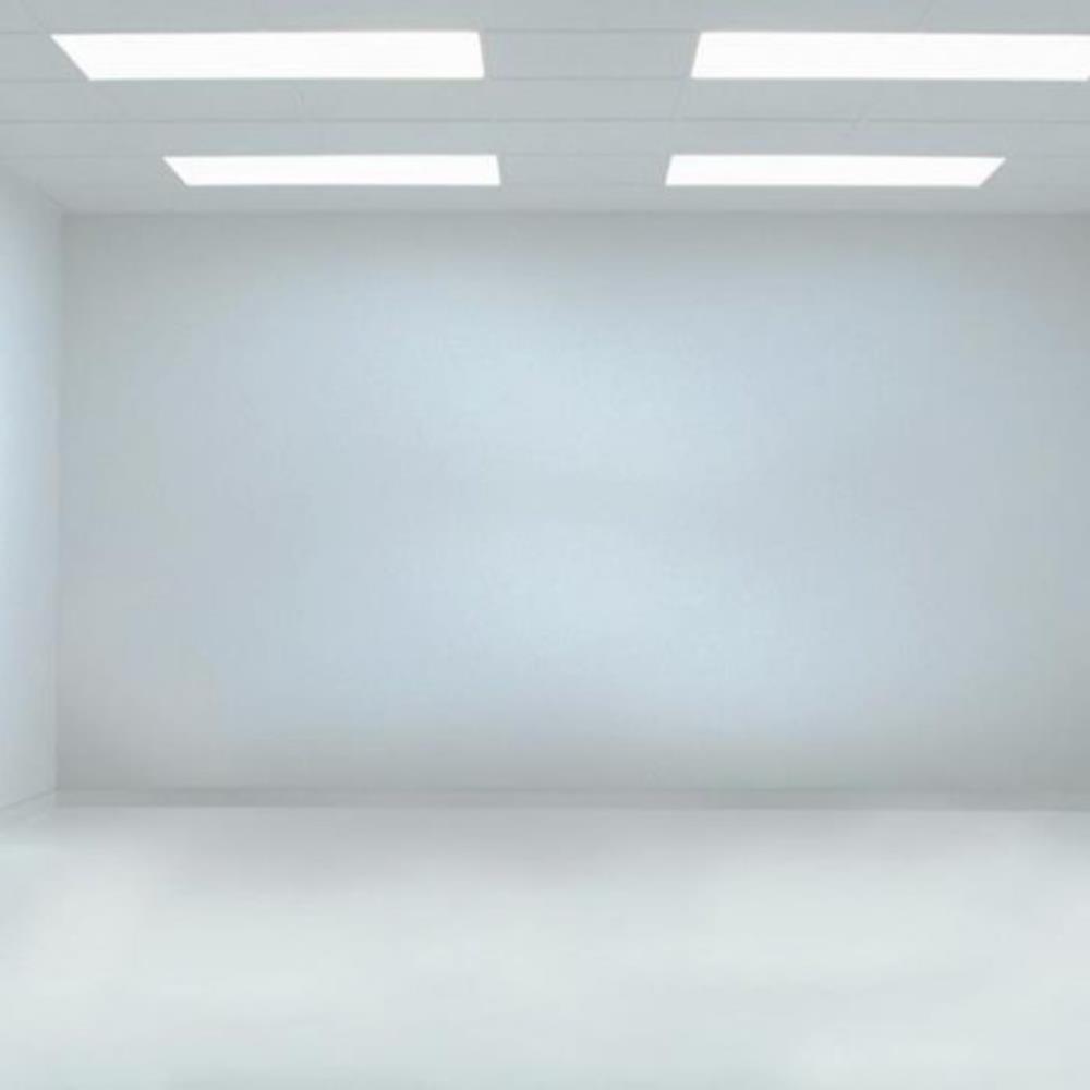 Alkozaur White Room (2012) album cover