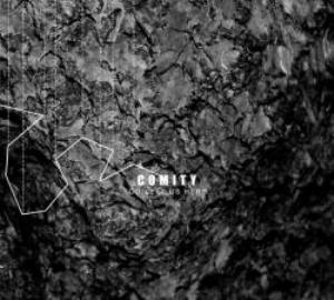 Comity - You Left Us Here CD (album) cover