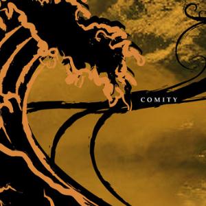 Comity The Andy Warhol Sucks EP album cover