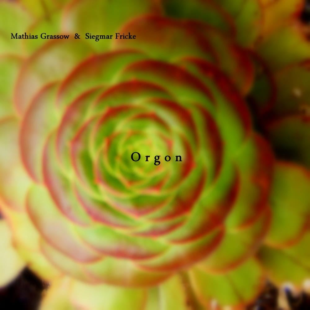 Mathias Grassow Orgon (collaboration with Siegmar Fricke) album cover