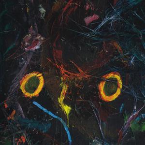 Emeralds - Allegory of Allergies CD (album) cover