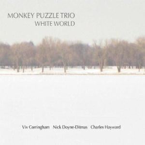 Monkey Puzzle Trio - White World CD (album) cover