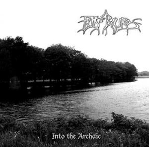 Falls Of Rauros Into the Archaic album cover