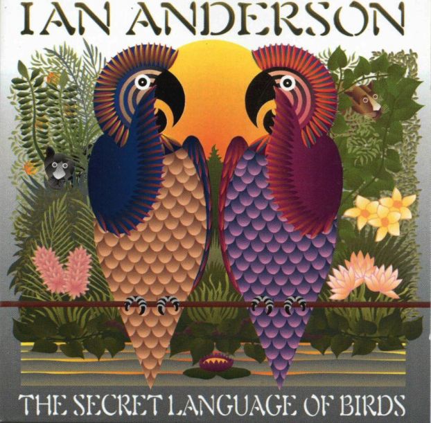 secret language of birds