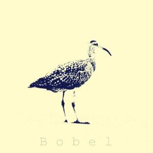 Bobel - Bobel CD (album) cover