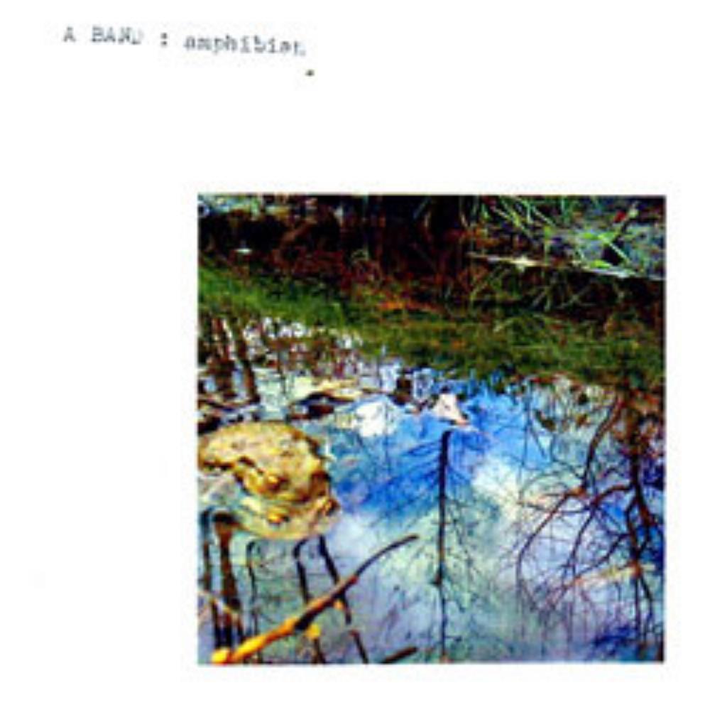 The A Band Amphibian album cover