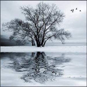 Sonus Umbra - Winter Soulstice CD (album) cover