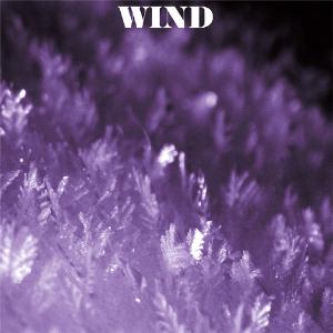 Wind - Wind And Friends CD (album) cover