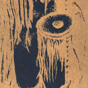 Barn Owl - Raft Of Serpents CD (album) cover