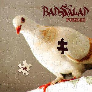 Bad Salad Puzzled album cover