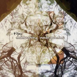 Tipu Sabzawaar - Celebrating Inadequacies CD (album) cover