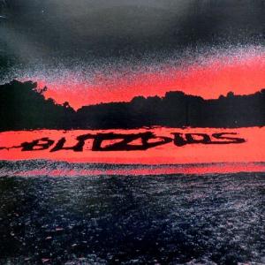 The Blitzoids Stealing From Helpless Children album cover