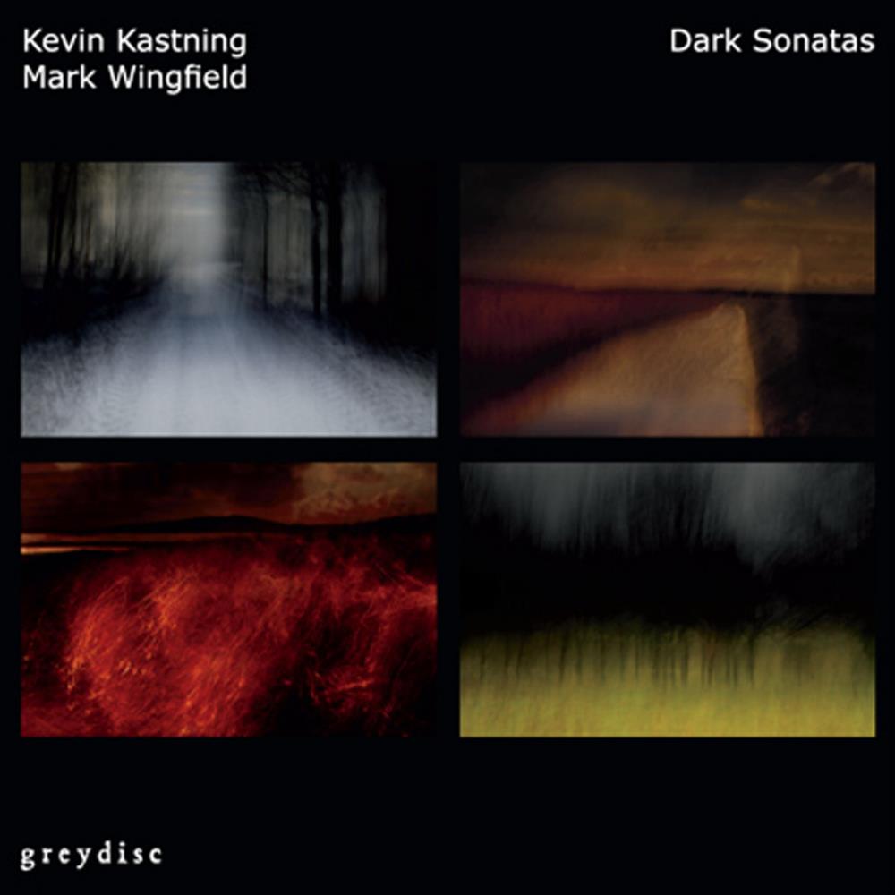 Mark Wingfield & Kevin Kastning Dark Sonatas album cover