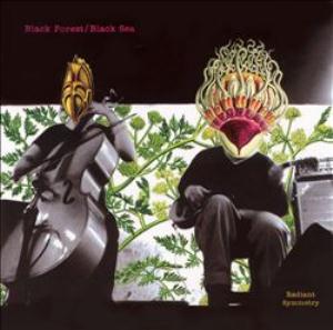 Black Forest / Black Sea Radiant Symmetry album cover