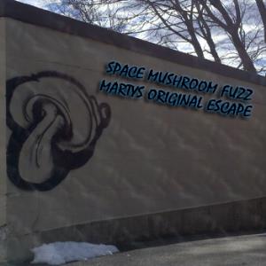 Space Mushroom Fuzz - Marty's Original Escape CD (album) cover
