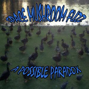 Space Mushroom Fuzz A Possible Paradox album cover