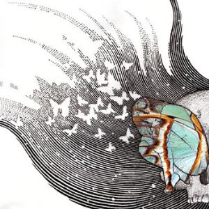 The Luck of Eden Hall - Butterfly Revolutions Vol. 1 CD (album) cover
