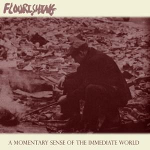 Flourishing - A Momentary Sense of the Immediate World CD (album) cover