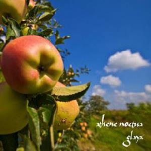 Athene Noctua - Glayx CD (album) cover