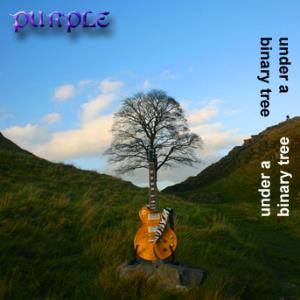 Purple Under a Binary Tree album cover