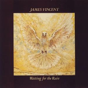 James Vincent Waiting For The Rain album cover