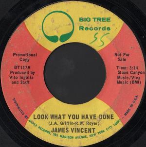 James Vincent Look What You Have Done album cover
