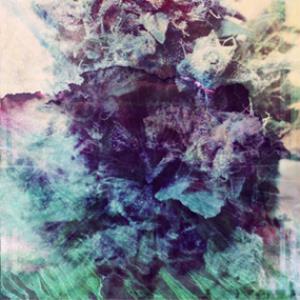 Lunar Miasma Crystal Covered  album cover