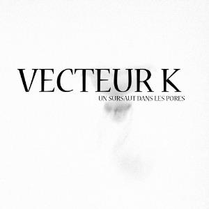 Vecteur K - Un Sursaut Dans les Pores CD (album) cover