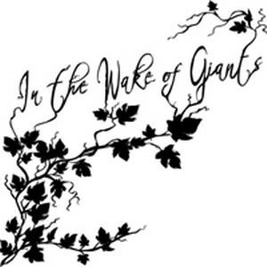 In the Wake of Giants In the Wake of Giants album cover