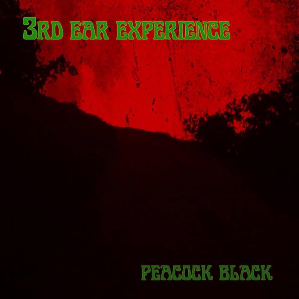 Peacock Black by 3RD EAR EXPERIENCE album cover