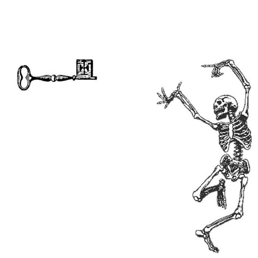 Michael Zucker - Skeleton Key CD (album) cover