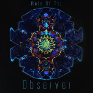 Role of the Observer Role of the Observer album cover
