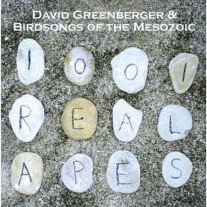 Birdsongs Of The Mesozoic - 1001 Real Apes  (with David Greenberger) CD (album) cover