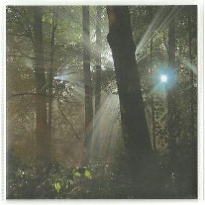 Plankton Wat - In Magical Light CD (album) cover