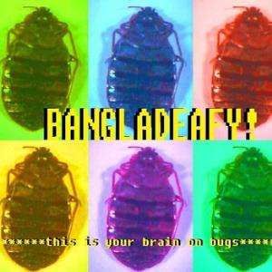 Bangladeafy This Is Your Brain On Bugs album cover