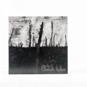 Celestial Wolves - Wood For Wood CD (album) cover